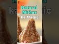 These modaks prove that festive treats can be both guilt-free and heavenly 😋 | #shorts #ytshorts  - 00:19 min - News - Video