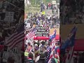 Many march in “No Kings” demonstrations across the US  - 00:28 min - News - Video