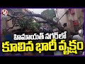 Hyderabad Rains : Huge Tree Uprooted Due To Strong Winds And Heavy Rain In Hyderabad  | V6 News