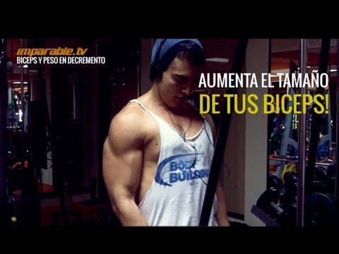 Los secretos de los ejercicios para el aumento del pecho