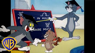 Tom a Jerry - späť do školy