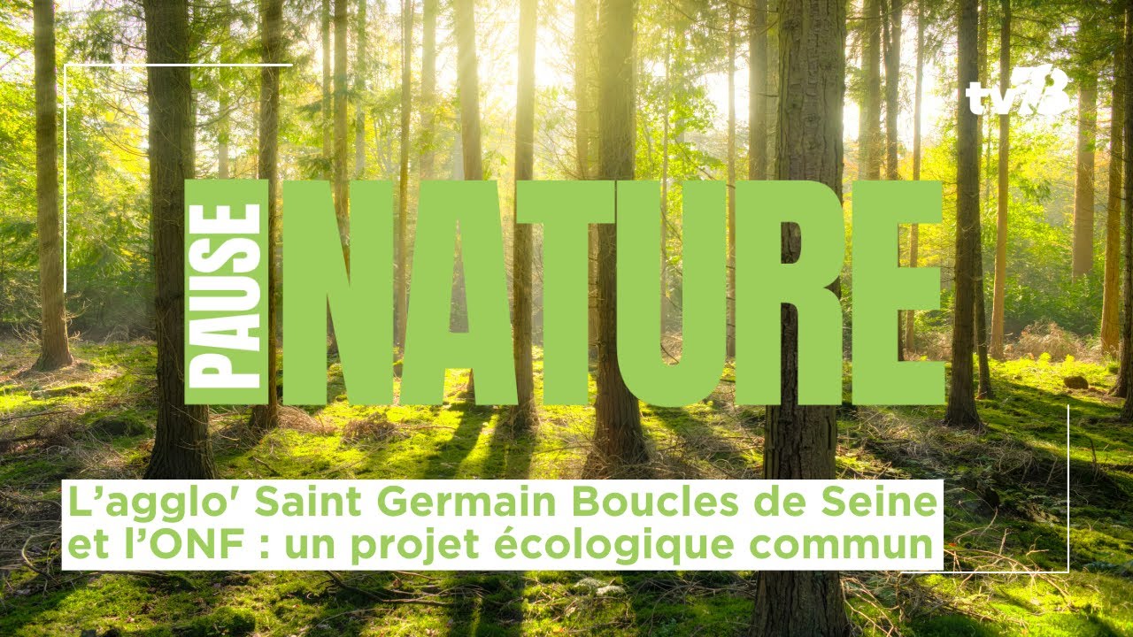 L’agglo’ Saint Germain Boucles de Seine et l’ONF ensemble pour un projet écologique