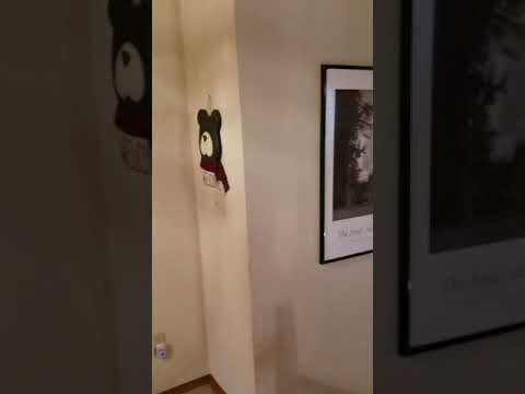 Vidéo de l’hébergement