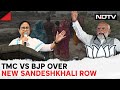 Sandeshkhali News | Sting Shows BJP Man Saying No Rapes Took Place In Sandeshkhali, Sparks Slugfest