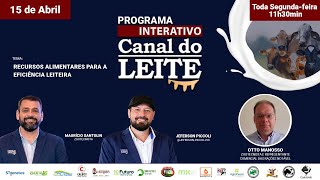 Canal do Leite Interativo - 15/04/2024