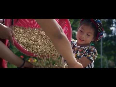 Guatemala: Corazón del mundo Maya'