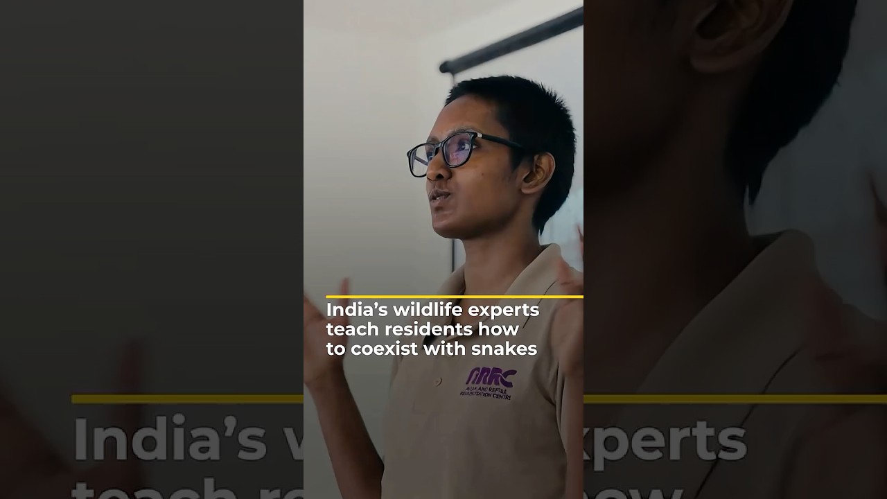 India’s wildlife experts teach residents how to coexist with snakes | 101 East shorts