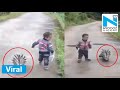 OMG!! Porcupine follows kid, video goes viral