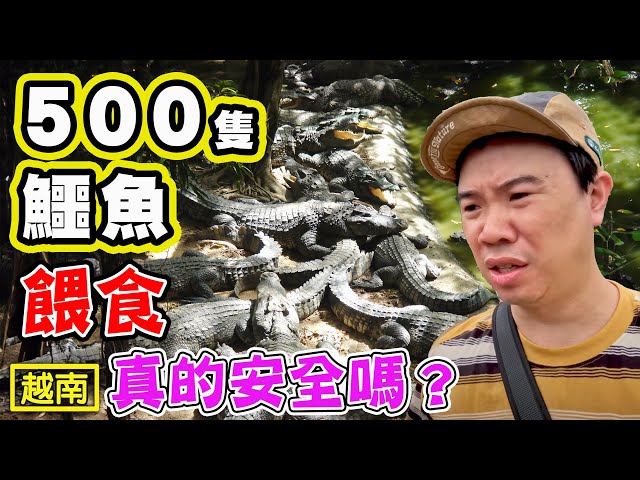 【500隻鱷魚】越南最終章 到底安全嗎美慶旅遊村 - 菜苔苔與菜生生
