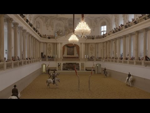 Perfect Horse'