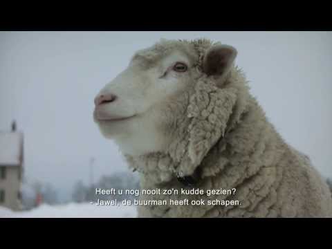 Winter Nomads'