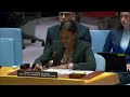 LIVE: UN Security Council discusses situation in Middle East  - 01:27:48 min - News - Video