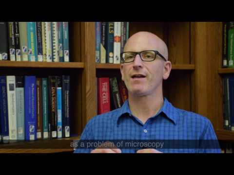 Prof. Anthony Zador explains his revolutionary method of mapping the brain and how it differs from existing methods. Prof. Anthony Zador explains his revolutionary method of mapping the brain and how it differs from existing methods.