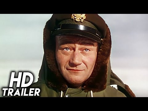 Jet Pilot'