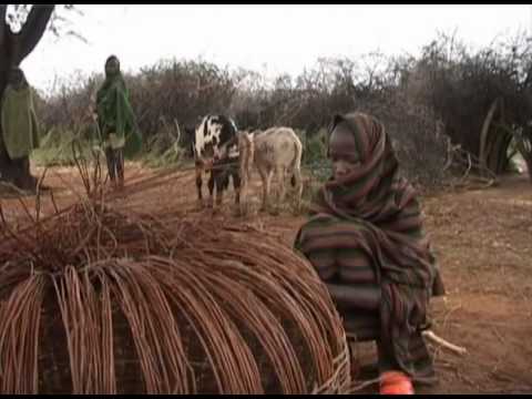 CEWARN is a collaboration of 7 countries (Djibouti, Ethiopia, Kenya, Somalia, Uganda, Sudan, Eritrea) to empower stakeholders to prevent violent conflicts, focusing on cross-border pastoralist conflicts such as land/water use and livestock theft.