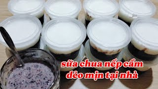 TỰ LÀM SỮA CHUA NẾP CẨM DẺO MỊN TẠI NHÀ | CÁCH LÀM SỮA CHUA NẾP CẨM ĐƠN GIẢN | Ẩm Thực Đơn Giản