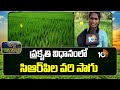 ప్రకృతి విధానంలో సిఆర్‎పిల వరి సాగు |CRPs Adopt Natural Farming for Paddy Cultivation |Matti Manishi