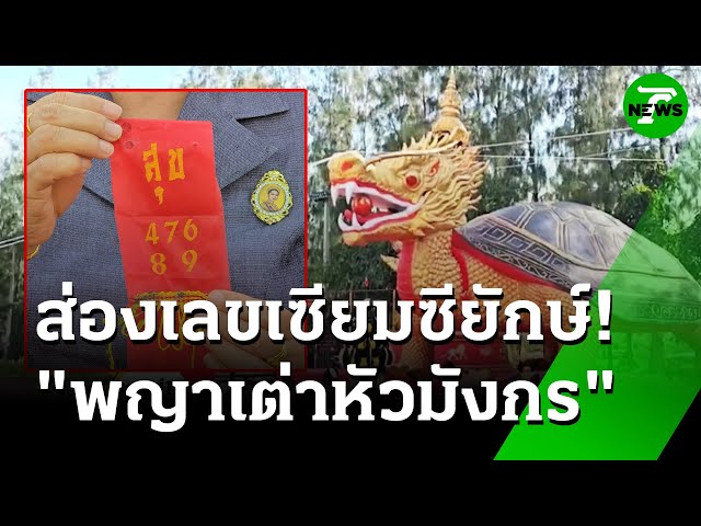 สมโภชพญาเต่าหัวมังกร หนึ่งเดียว | 7 ก.ค. 68 | ห้องข่าวหัวเขียว