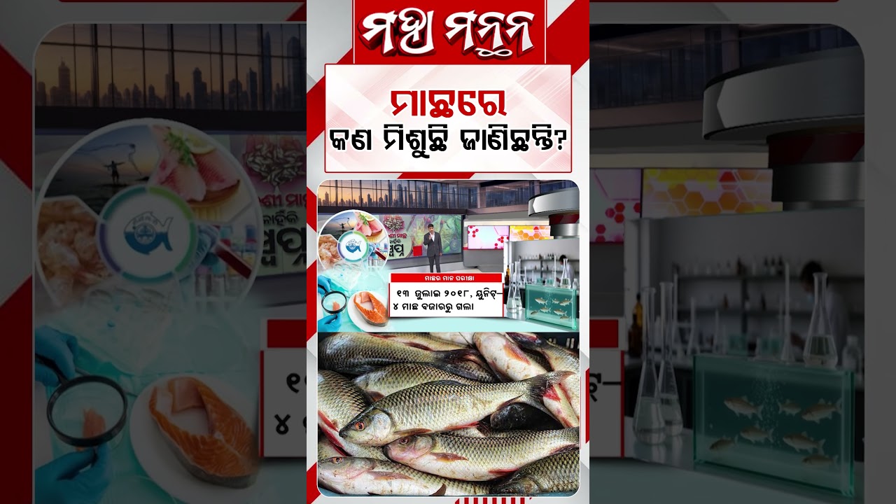 ମାଛରେ କଣ ମିଶୁଛି ଜାଣିଛନ୍ତି ? | Deadly Chemicals Found in Fish Markets | Maha Manthan | Argus News