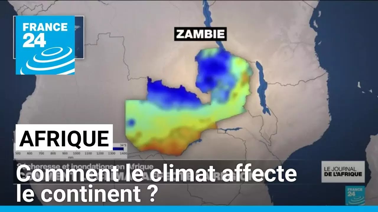 Sécheresse et inondations en Afrique : comment le climat affecte le continent ? • FRANCE 24