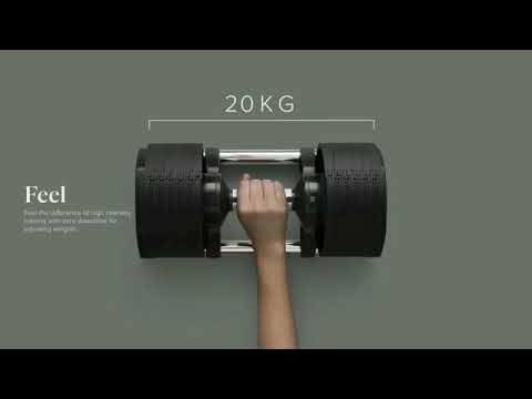 2 - 20kg Flexbell Twistlock Adjustable Dumbbell - Free Weights