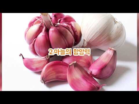 암세포 얼씬도 못하게 하는 4대 항암제