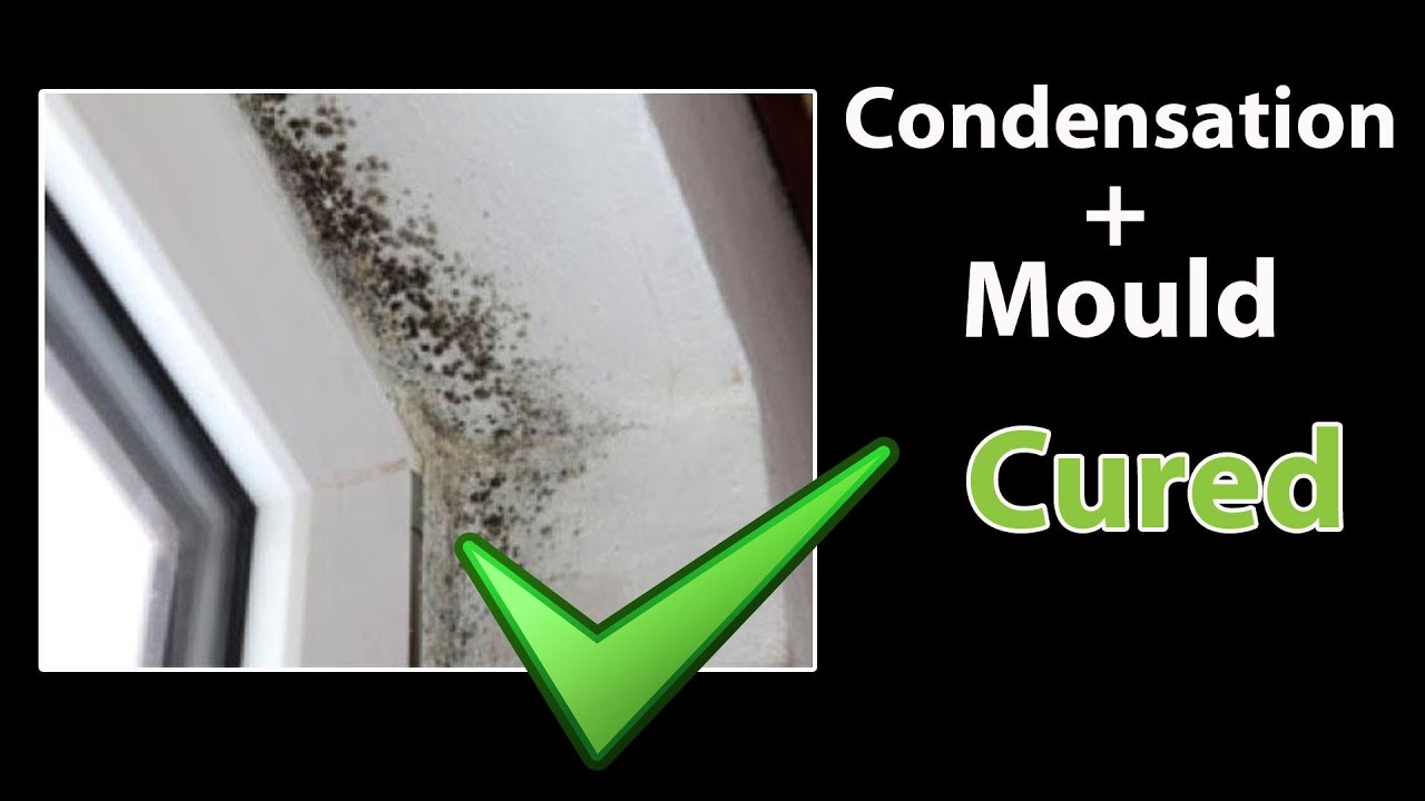 Cure for condensation on walls