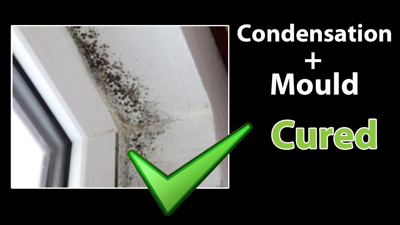 EASY How To STOP CONDENSATION Get Rid Of Black Mold And Clean Mould 