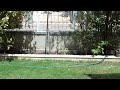 Sony HDR-CX150E Garden Test (HD) 1080p HD|LP