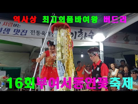 ♥버드리♥ 7월14일 하늘에서 복주머니 돈보따리가 터져내리다~^^ 밤공연시작 부여서동연꽂축제