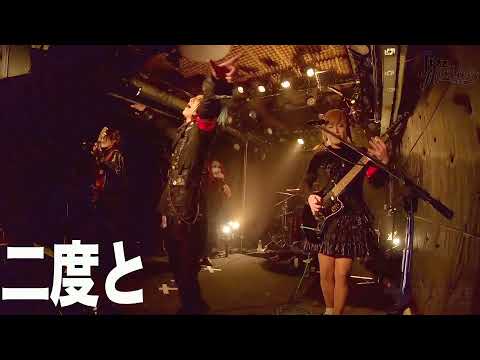 世紀の対決!ソロVSバンド 予選