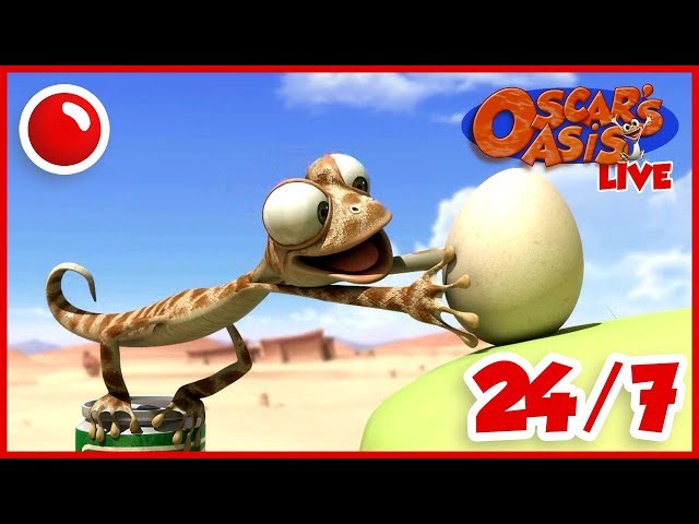 HAPPY HOLIDAYS Oscar's Oasis - HD Live Stream Full Episodes 24/7 