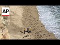 WATCH: Kite surfer rescued from California beach after making HELP sign with rocks