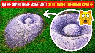 Чем дальше в лес: Остерегайтесь этого таинственного предмета!