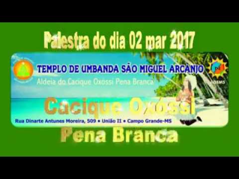 Galeria de Vídeos