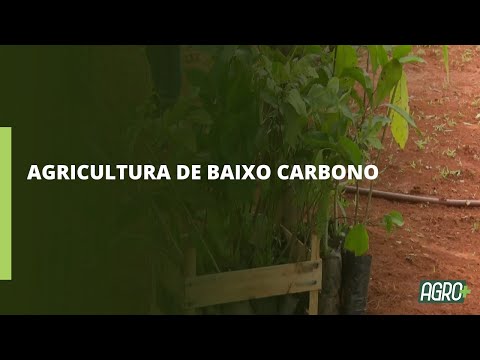 Governo pretende ampliar a área com agricultura de baixo carbono