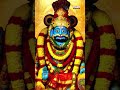 Meluko Mallanna || Musti Mamatha || Gogu Akhileshwar || #DevotionalSongs #BhaktiSongs #Shorts  - 00:39 min - News - Video