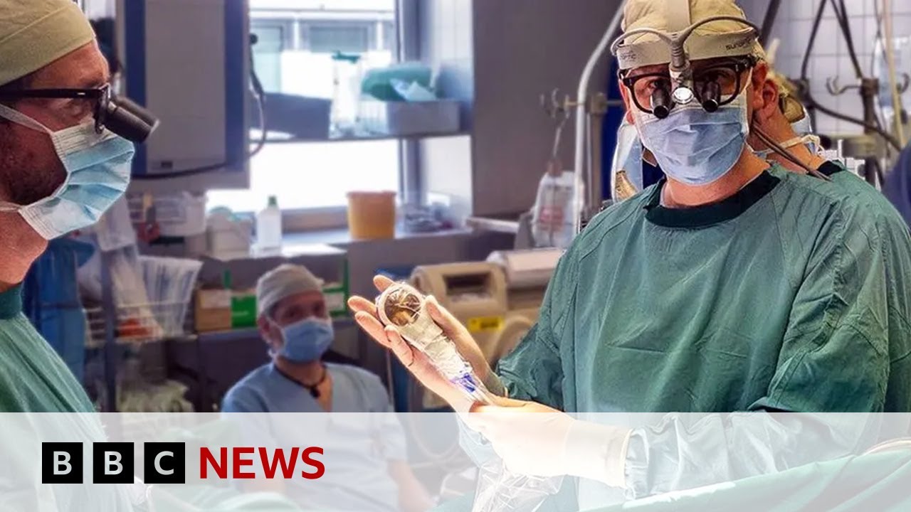 ‘Space hairdryer’ regenerates heart tissue in study | BBC News