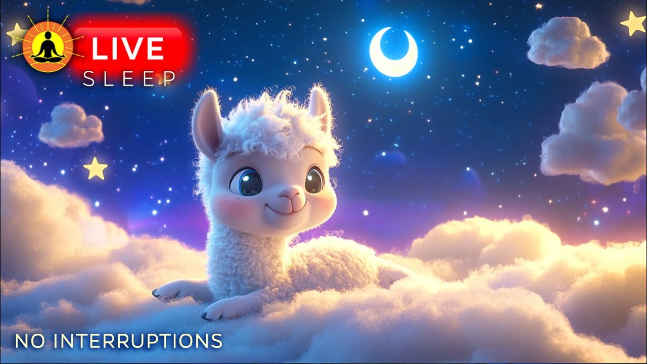 🔴 Baby Llama Calming Bedtime Music |No Interruptions| Sleep Music, Stress Relief Music, Quiet Music