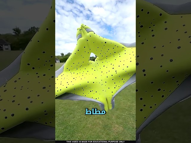 لماذا هذه القفازات لزجة