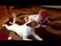 כלב מלמד תינוק לזחול