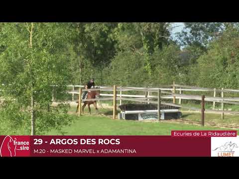 OrepodtAzD4