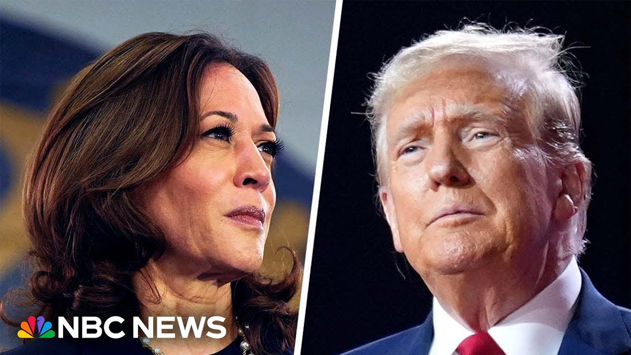 Harris has ‘narrowed the gap’ with Trump in what is a ‘game of inches’: Cook Political Report editor