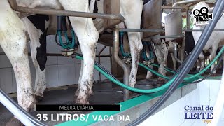 Granja Bortolini - fazenda de gado holandês que é destaque na produção de leite - TV Holstein