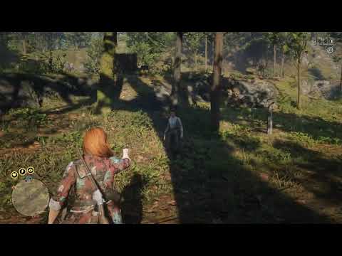 video Prime [RDR2] – Lifetime License