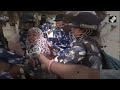 Sandeshkhali News | BJPs Sukanta Majumdar Faints In Clash With Police In Sandeshkhali  - 03:16 min - News - Video