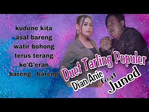 Duet Tarling Paling Populer Dian Anic ft Juned Kancil | sound high quality