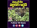 మొల్కలే లేని వర్టికల్ గార్డెన్ | Vertical Garden  | V6 Teenmaar  - 00:59 min - News - Video