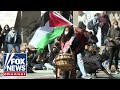 Anti-Israel protests on campuses didnt just happen overnight: Perino