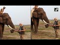 PM Modi In Kaziranga | Elephant Rides To Jungle Safari: PM Modis Visit To Kaziranga National Park  - 01:59 min - News - Video